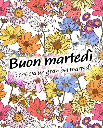 Buon martedì! E che sia un gran bel martedì!