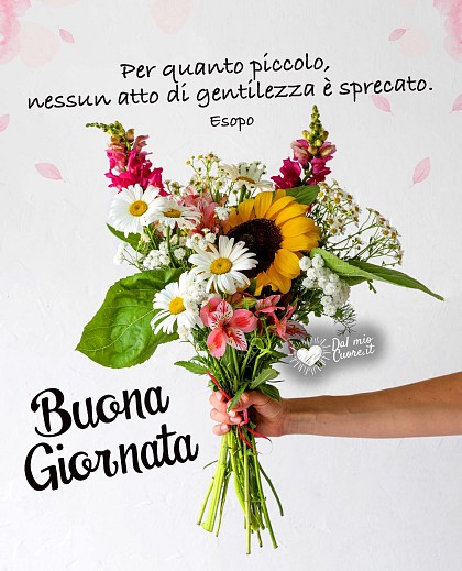 Buona Giornata. Per quanto piccolo, nessun atto di gentilezza è sprecato.