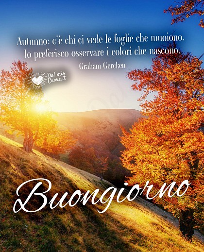 Buongiorno (Frasi). Autunno: c'è chi ci vede le foglie che muoiono. Io preferisco osservare i colori che nascono.