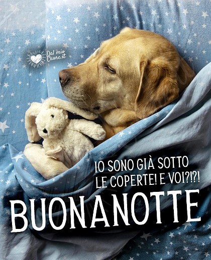 Imm Buonanotte Divertente. Io sono già sotto le coperte... e voi?
