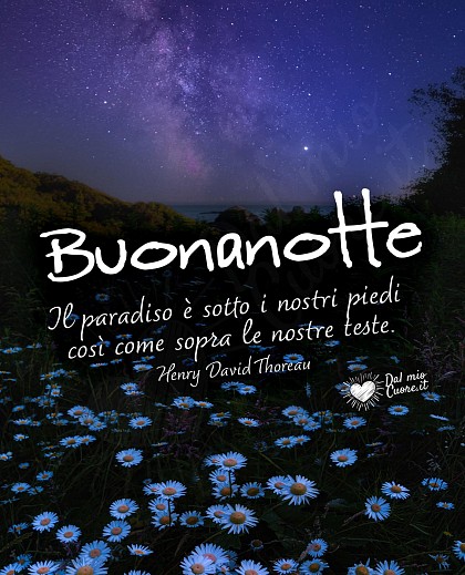 Buonanotte. Il paradiso è sotto i nostri piedi così come sopra le nostre teste.