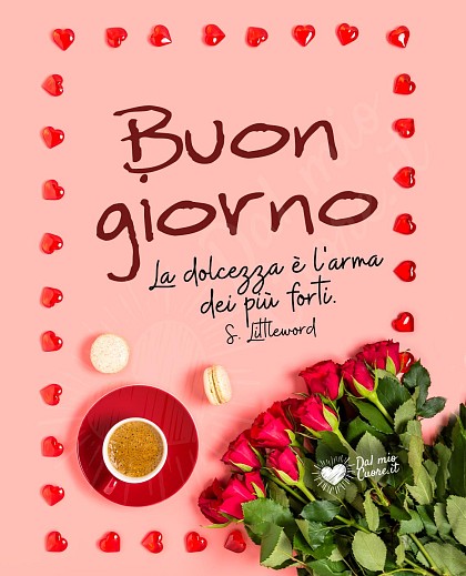 Buon giorno. La dolcezza è l'arma dei più forti
