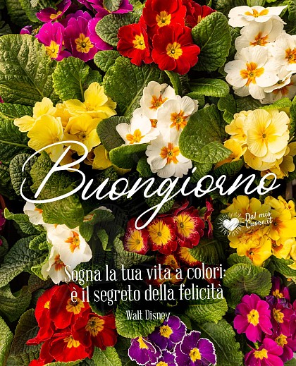 Buongiorno. Sogna la tua vita a colori: è il segreto della felicità