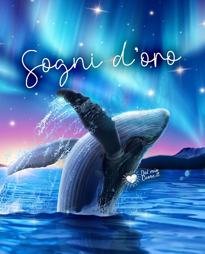 Sogni d'oro con balena sotto un'aurora boreale