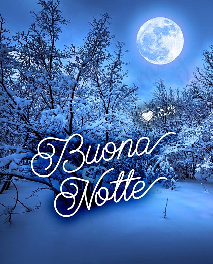 Buonanotte invernale con luna e neve
