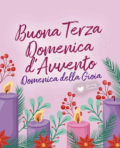 Buona Terza Domenica d'Avvento. Domenica della Gioia