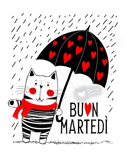 Buon martedì con gattino innamorato sotto la pioggia