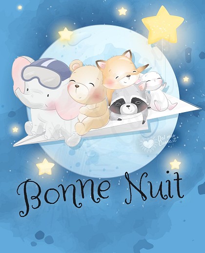 Bonne nuit avec des petits animaux
