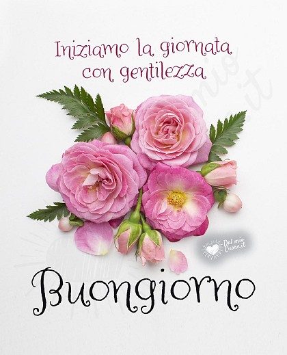 Buongiorno. Iniziamo la giornata con gentilezza