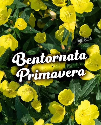 Bentornata primavera