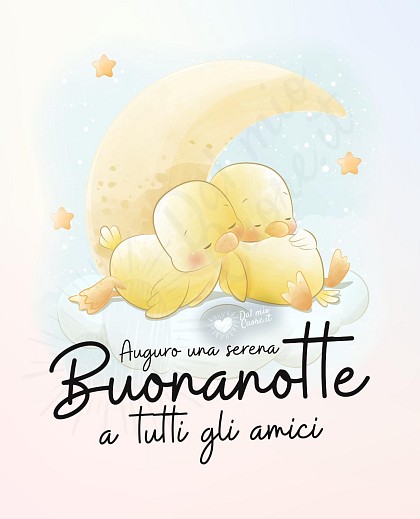 Auguro una serena buonanotte a tutti gli amici