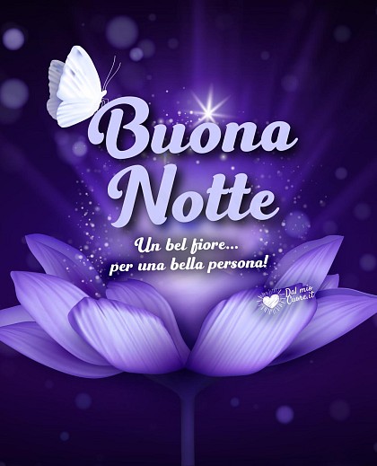 Buonanotte. Un bel fiore... per una bella persona
