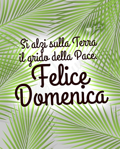 Felice Domenica. Si alzi sulla Terra il grido della Pace.