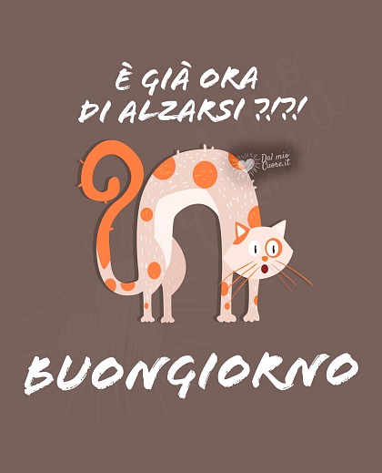È già ora di alzarsi?! Buongiorno divertente