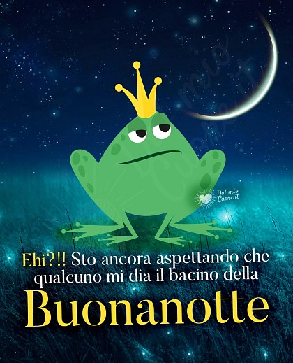 Ehi?!! Sto ancora aspettando che qualcuno mi dia il bacino della Buonanotte! (Divertente)