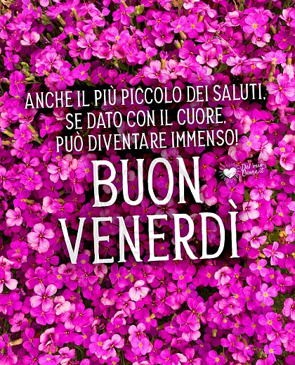 Buon venerdì con frase dedicata all'importanza di salutare gli amici