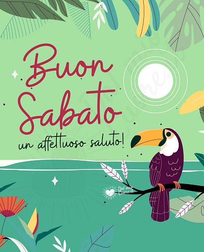 Buon sabato estivo. Un affettuoso saluto!