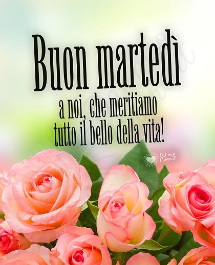 Buon martedì a noi, che meritiamo tutto il bello della vita!