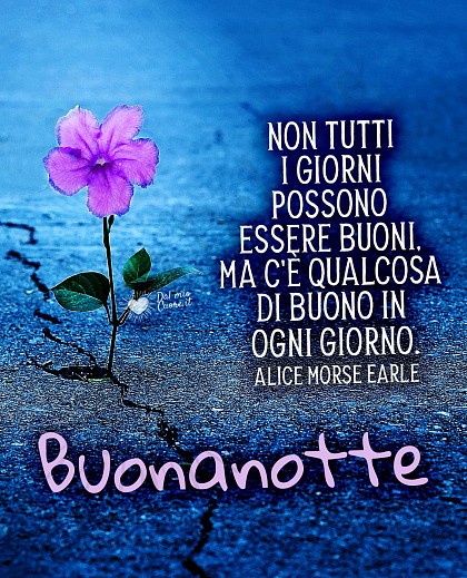 Buonanotte con frase. Non tutti i giorni possono essere buoni, ma c'è qualcosa di buono in ogni giorno.