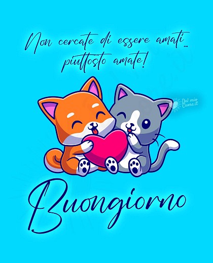 Buongiorno con frase. Non cercate di essere amati... piuttosto amate!
