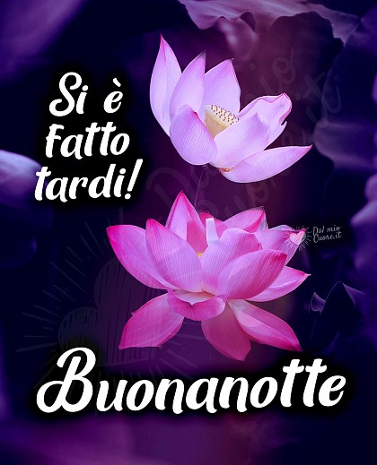Si è fatto tardi! Con fiori