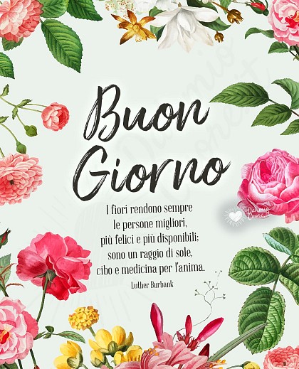 Buongiorno con frase sui fiori