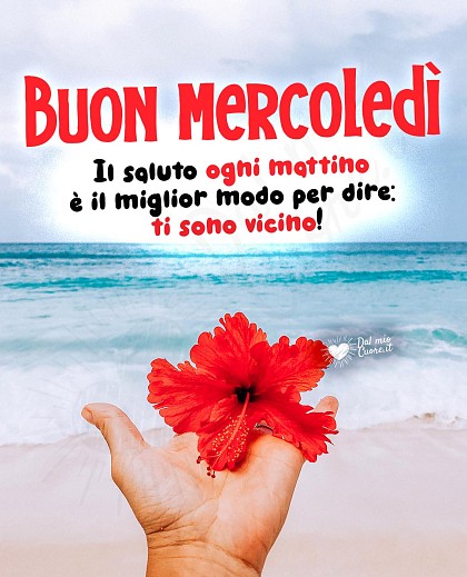 Buon mercoledì con frase sull'amicizia