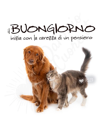 Il buongiorno inizia con la carezza di un pensiero