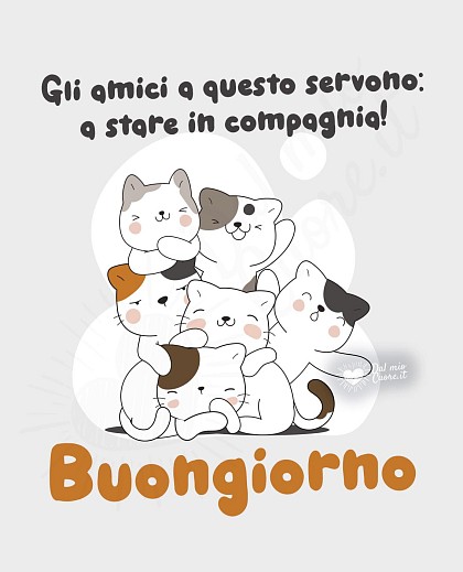 Gli amici a questo servono: a stare in compagnia! Buongiorno