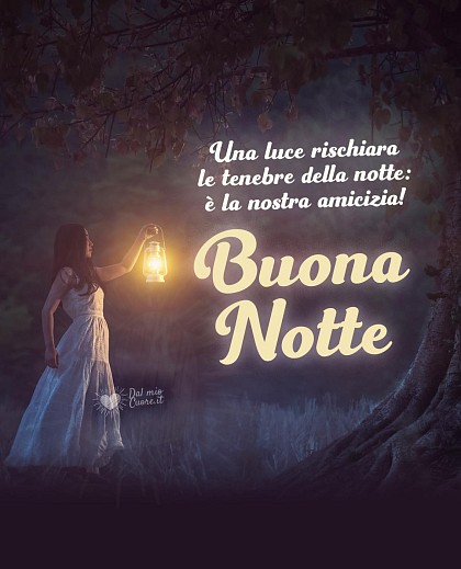 Una luce rischiara le tenebre della notte: è la nostra amicizia! Buona Notte (frasi)