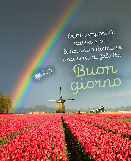 Ogni temporale passa e va, lasciando dietro sè una scia di felicità. Buon giorno