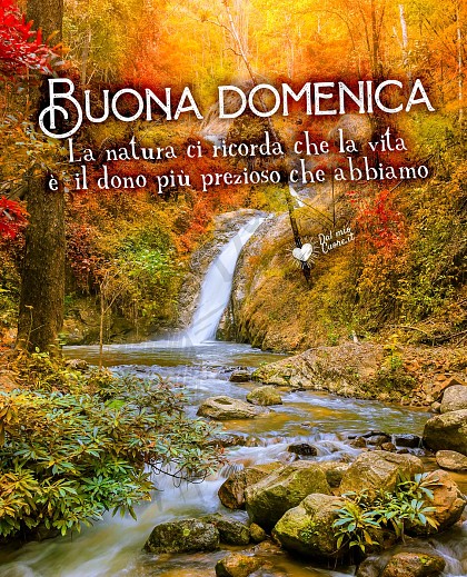 La natura ci ricorda che la vita è il dono più prezioso che abbiamo. Buona domenica autunnale