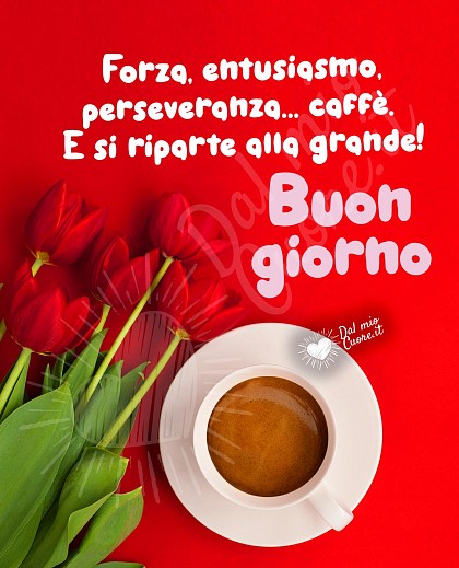 Forza, entusiasmo, perseveranza... caffè. E la settimana ricomincia alla grande! Buon lunedì