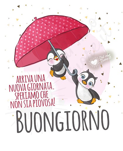 Arriva una nuova giornata. Speriamo che non sia piovosa!