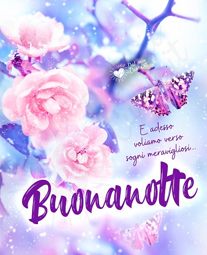 Buonanotte... E adesso voliamo verso sogni meravigliosi!