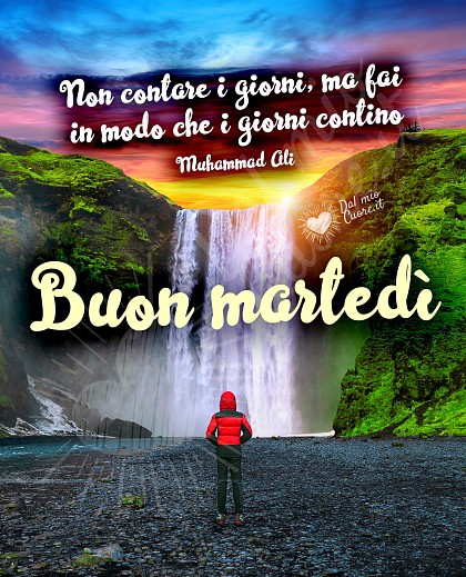 Buon martedì con frase sul vivere la vita