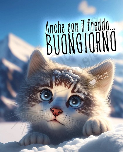 Anche con il freddo... buongiorno