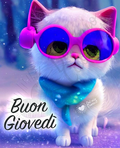 Immagine buon giovedì divertente con gattino