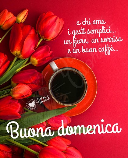 Buona Domenica a chi ama i gesti semplici... un fiore, un sorriso e un buon caffè...