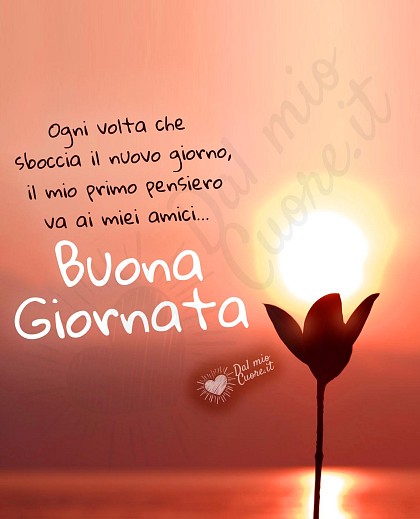Ogni volta che sboccia il nuovo giorno, il mio primo pensiero va ai miei amici. Buona Giornata