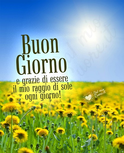 Buon giorno e grazie di essere il mio raggio di sole ogni giorno!