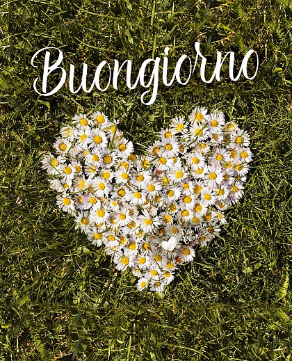 Buongiorno primaverile con cuore di margherite