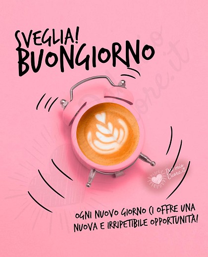 Immagini buongiorno con frase: Ogni nuovo giorno ci offre una nuova e irripetibile opportunità!