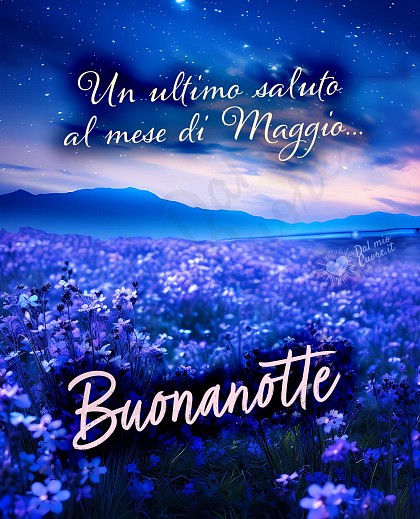 Un ultimo saluto al mese di Maggio... Buonanotte