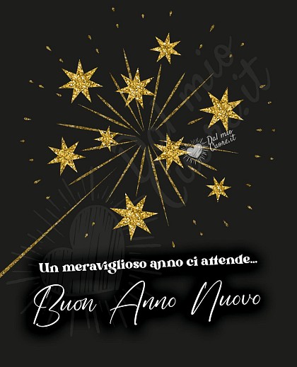 Un meraviglioso anno ci attende... Buon Anno Nuovo