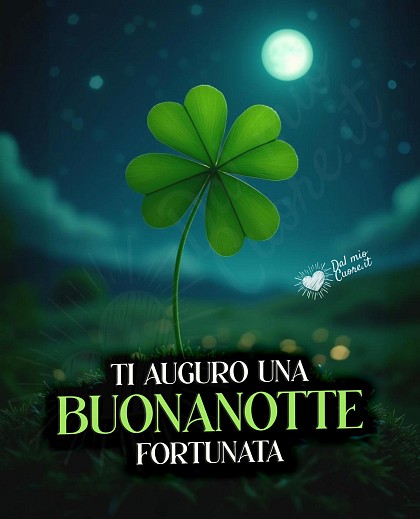Ti auguro una buonanotte fortunata